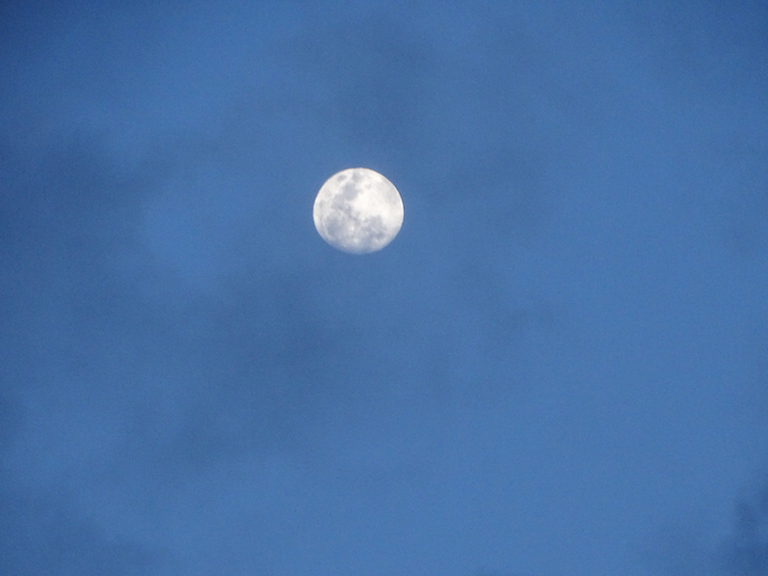 DSC01030 (700x525, 278Kb)