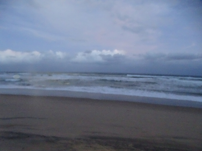 DSC01040 (700x525, 290Kb)