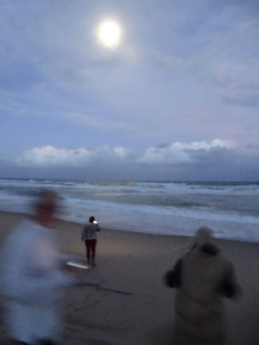 DSC01043 (525x700, 309Kb)