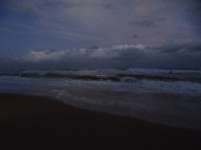 DSC01047 (700x525, 269Kb)