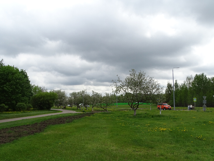 DSC00491 (700x525, 333Kb)