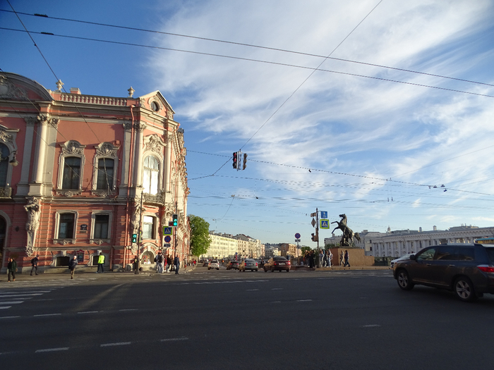 DSC00501 (700x525, 374Kb)