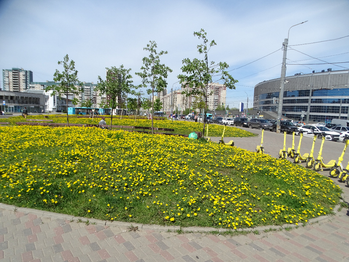 DSC00524 (700x525, 563Kb)