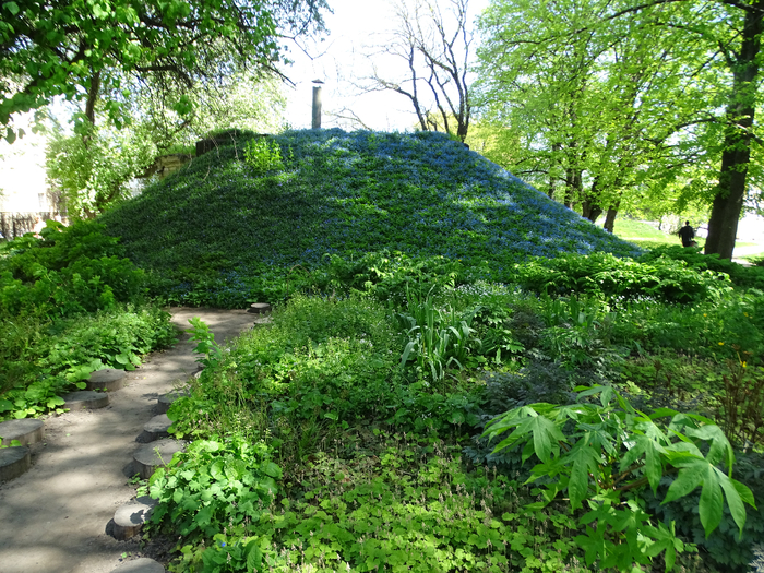 DSC00539 (700x525, 662Kb)