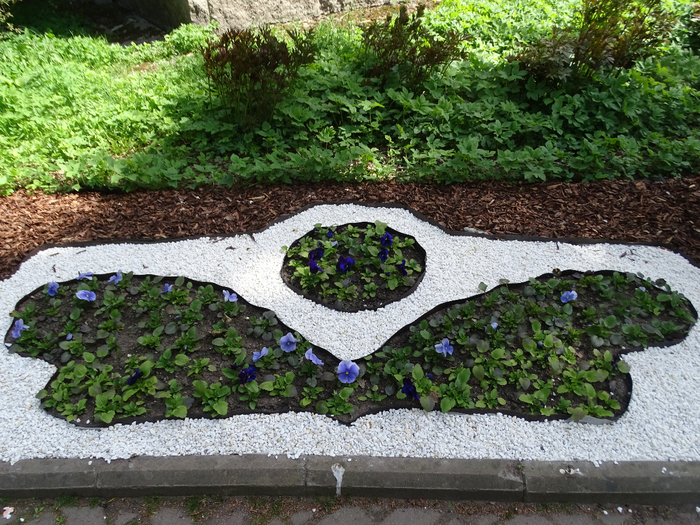 DSC00566 (700x525, 573Kb)