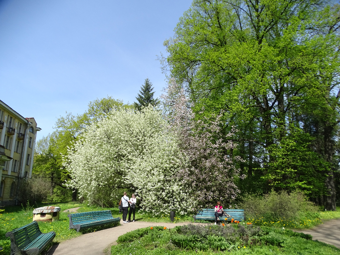 DSC00570 (700x525, 569Kb)