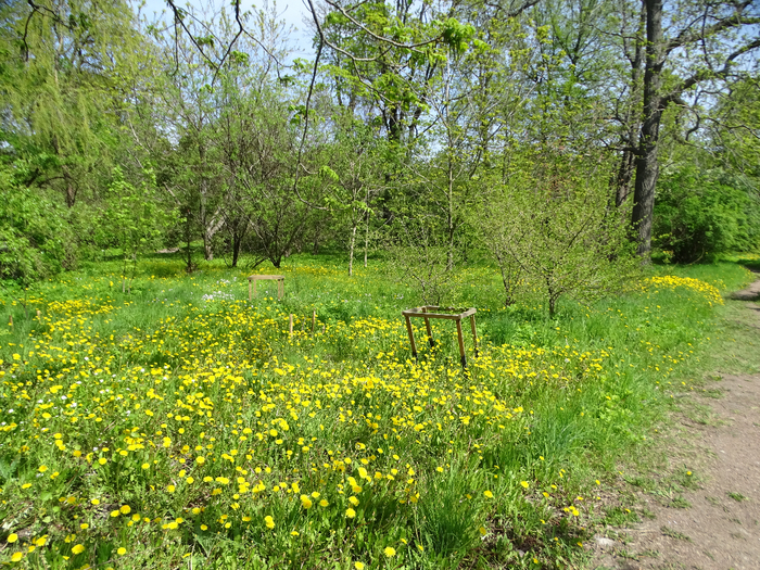 DSC00586 (700x525, 707Kb)