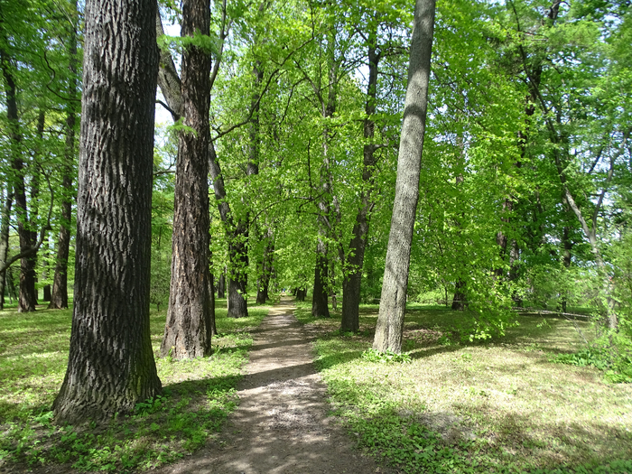 DSC00592 (700x525, 653Kb)