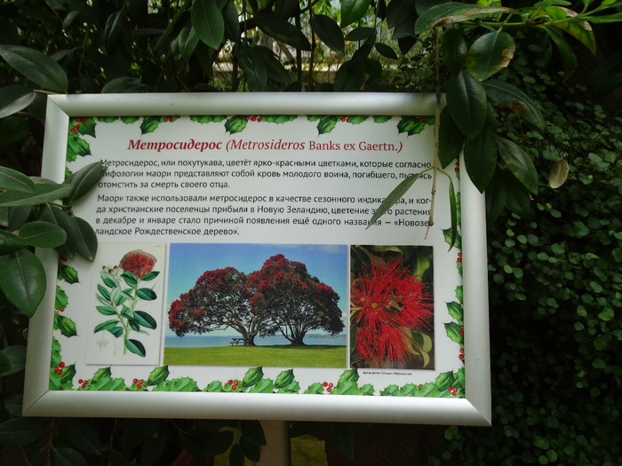 DSC00651 (700x525, 436Kb)