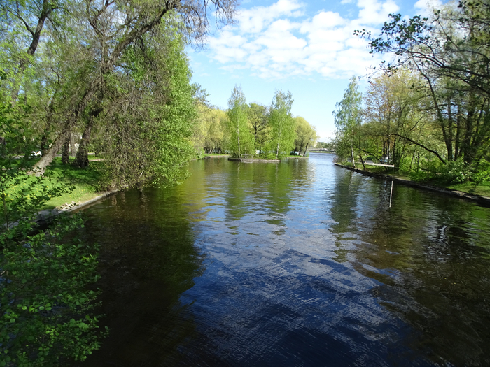 DSC00673 (700x525, 519Kb)