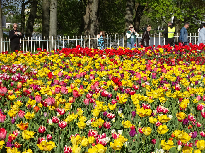 DSC00684 (700x525, 724Kb)