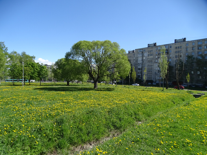 DSC00734 (700x525, 538Kb)