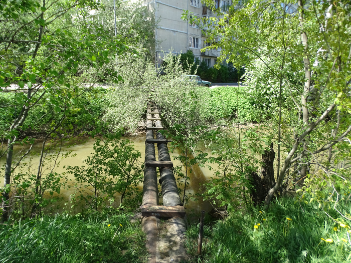 DSC00748 (700x525, 664Kb)