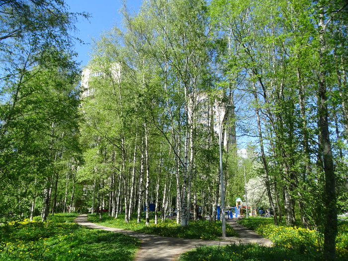 DSC00752 (700x525, 687Kb)