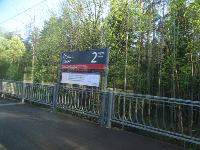 DSC00764 (700x525, 500Kb)