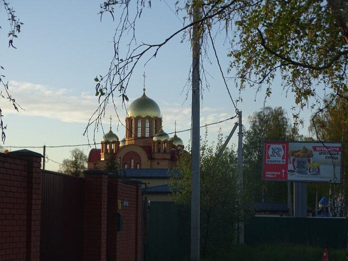 DSC00781 (700x525, 412Kb)