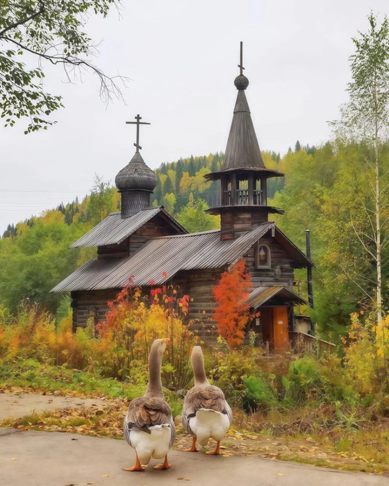 uNohOmsPu0-rux7AM_O2Mw (560x700, 408Kb)