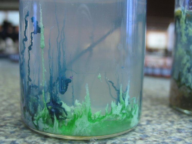 Разрежьте водоросли геншин. Химические водоросли опыт. Силикатные водоросли. Химический сад опыт. Опыт с водорослями.