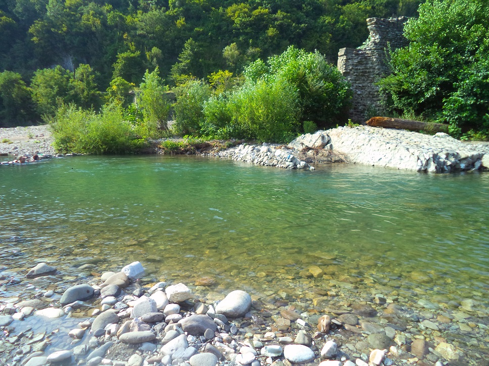 Аше краснодарский край отзывы