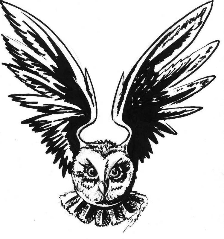 Сова с расправленными крыльями рисунок