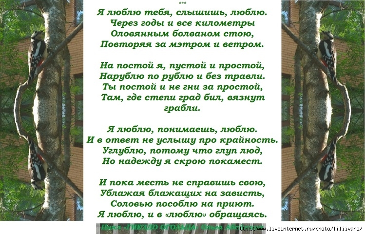 Слышишь ты любимый. Я люблю тебя слышишь. Я люблю тебя слышишь стихи.