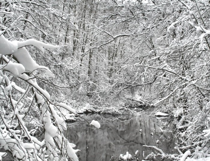 Is winter beautiful. Фото сюр зима. Зимняя сказка. Чародейкою зимой. Финский фотограф.