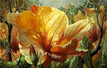 Golden Hibiscus 