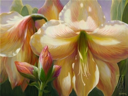 Amaryllis - Elizabeth Horning