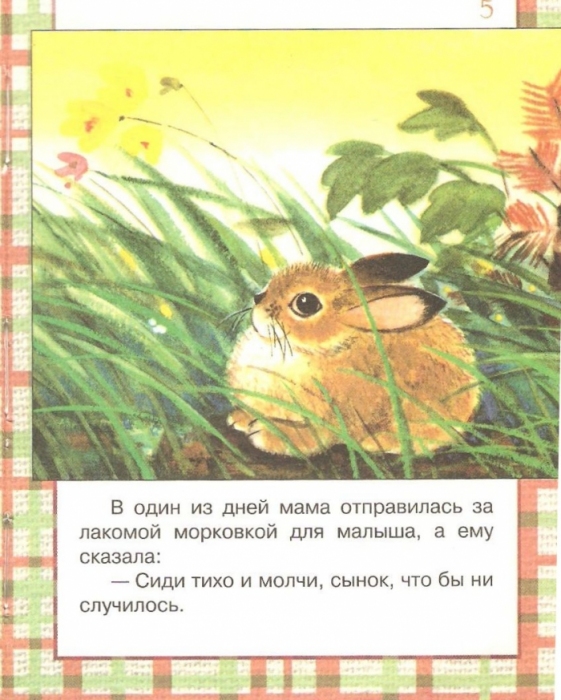 Заяц рваное ухо. Сетон-Томпсон рваное ушко иллюстрации. Рваное ушко. Рваное ушко иллюстрации.