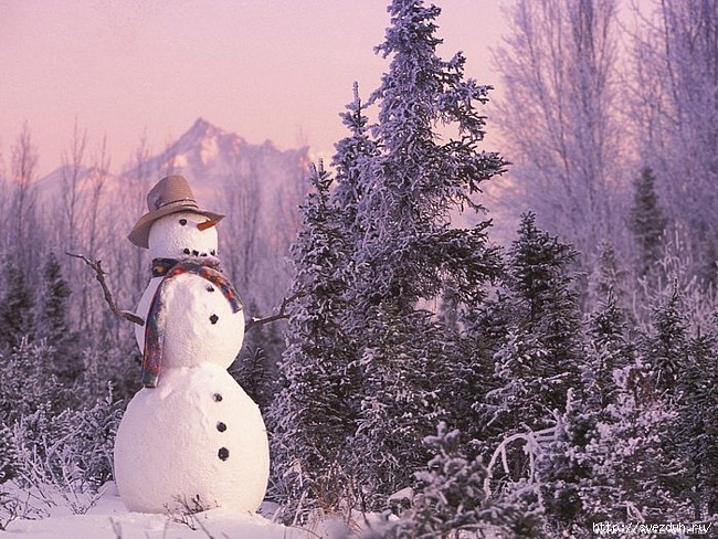 Мужчина каждый год радует сельчан скульптурами из снега