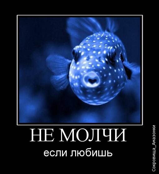 Не молчи картинки