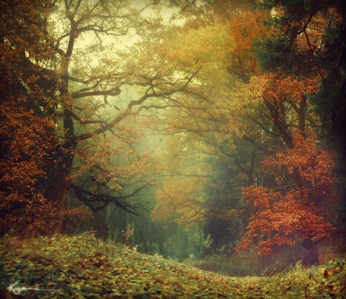 autumn...