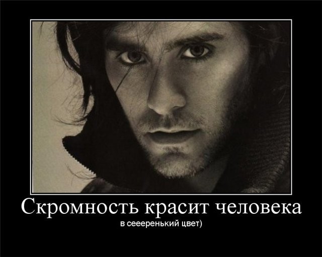 Сама скромность картинки