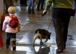 (Crufts) -     .