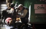  (Crufts) -     .