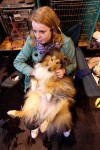  (Crufts) -     .