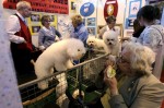  (Crufts) -     .