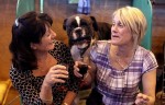  (Crufts) -     .