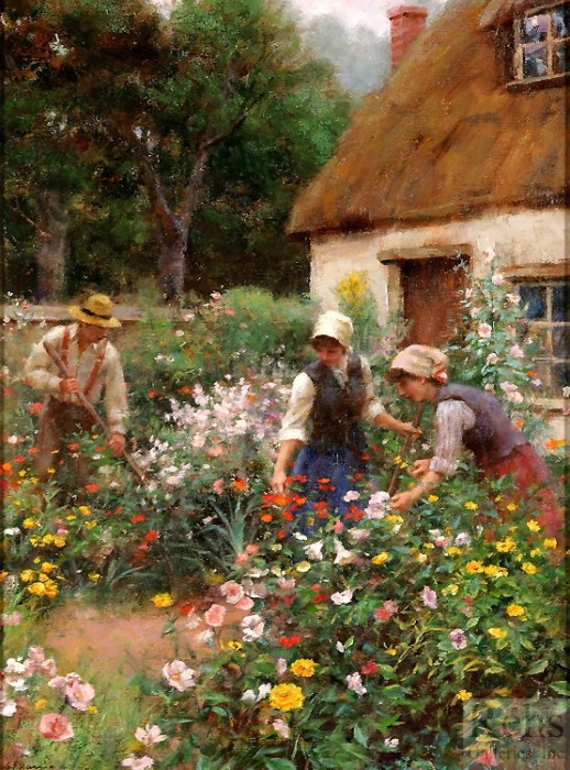 a_cottage_garden