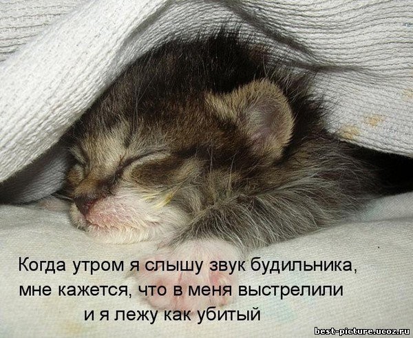 http://img1.liveinternet.ru/images/foto/b/2/apps/1/723/1723297_629350101.jpg