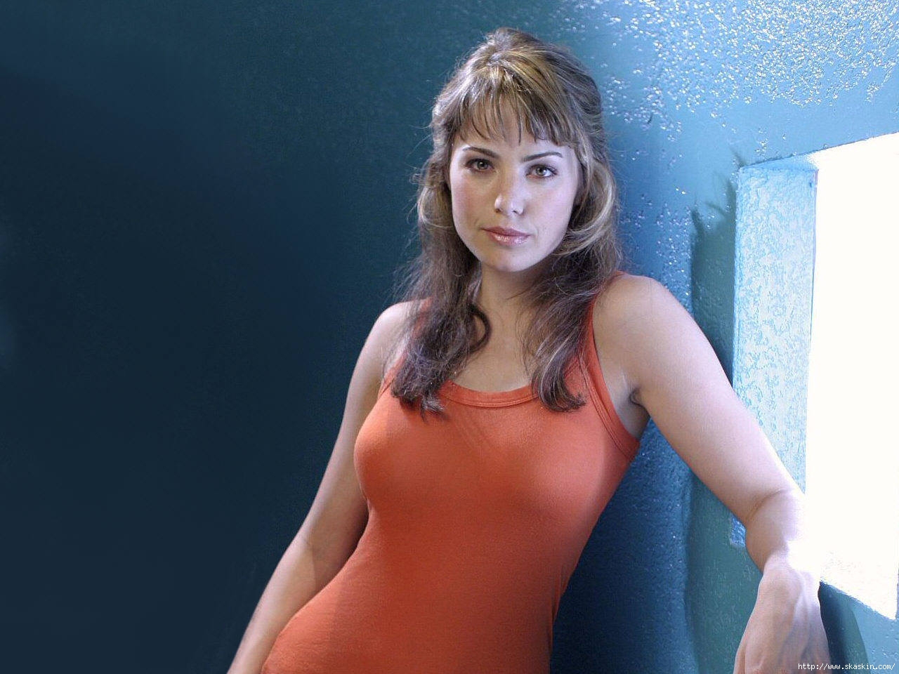 Erica Durance. 