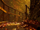 [+]  - The Autumn Bridge