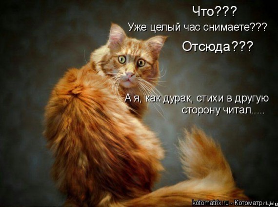 http://img1.liveinternet.ru/images/foto/b/3/237/2345237/f_18341153.jpg