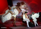     2009 (China's fashion week 2009).