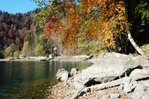 Посмотреть все фотографии серии Озеро Рица осенью.