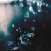 Water.
