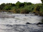 Los Angeles River