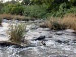 Los Angeles River