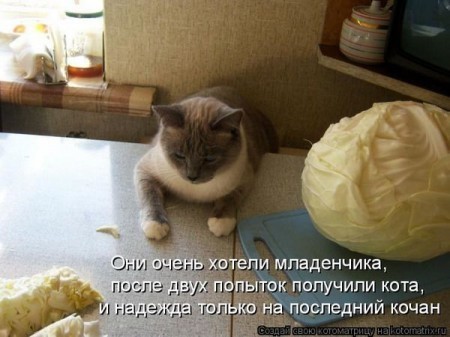 http://img1.liveinternet.ru/images/foto/b/3/apps/0/308/308889_1246019276_s3img_59490778_1083_0.jpg