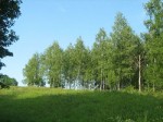 -07.2009.   